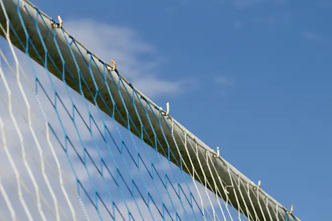 Tottenham Hotspur Daily News Roundup